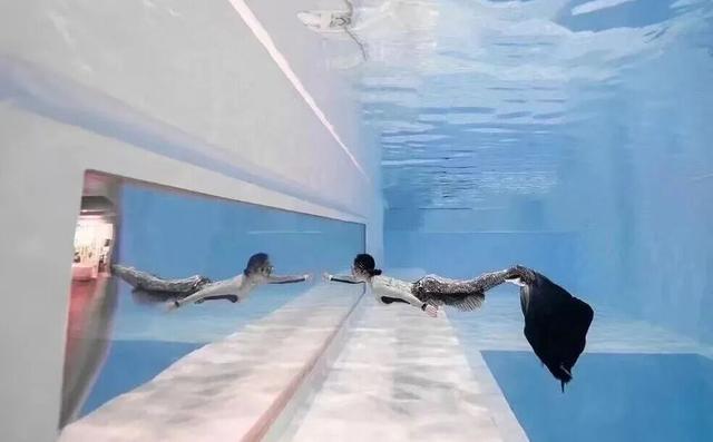 想在闵行过《疯狂动物城》里的生活？雨林区、冰川镇就在你身边→