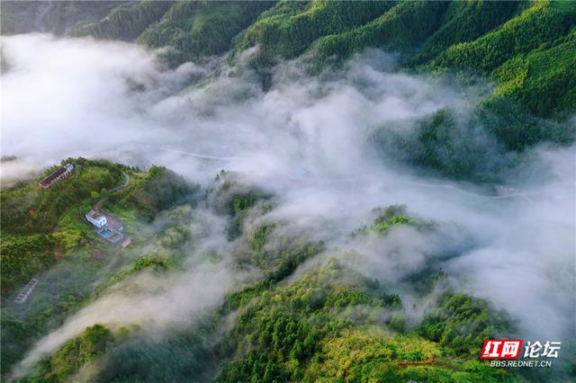 【每日一图@湖南】青娥山晨雾漫卷，定格天地间水墨丹青