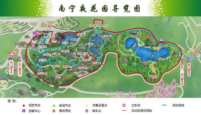 “南宁夜花园”惊现奇观！数十朵“月下仙子”即将同夜绽放