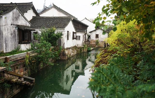 中国古镇里的“贝多芬”？这届游客逼出来的文旅“新物种”