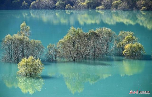 白水江遇白龙江 文县初冬藏着最动人的江河秘境