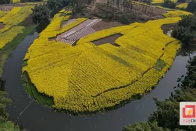 大安区：重拳治理三江河支流 提升群众生产生活品质图片