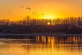 晚霞红似火，野鸭水中游，冬日运河畔，处处皆美景图片