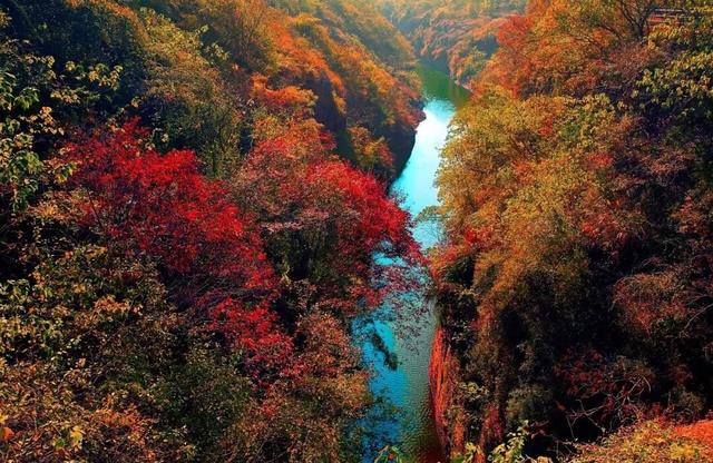如果你要写溧水的秋天……（文末有福利）