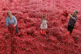 湖南泸溪兴隆场镇打出“组合拳” 绘就和美乡村“靓景图”图片