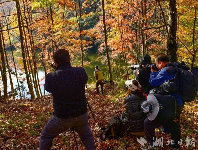 蕲春塔林的秋天，让人不愿离开