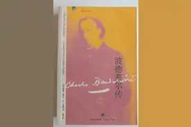 他为艺术而生而燃烧而死亡！重读《波德莱尔传》图片