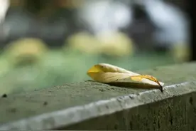 夜读 |  最近总会突然emo，那你可能要学会这几招图片
