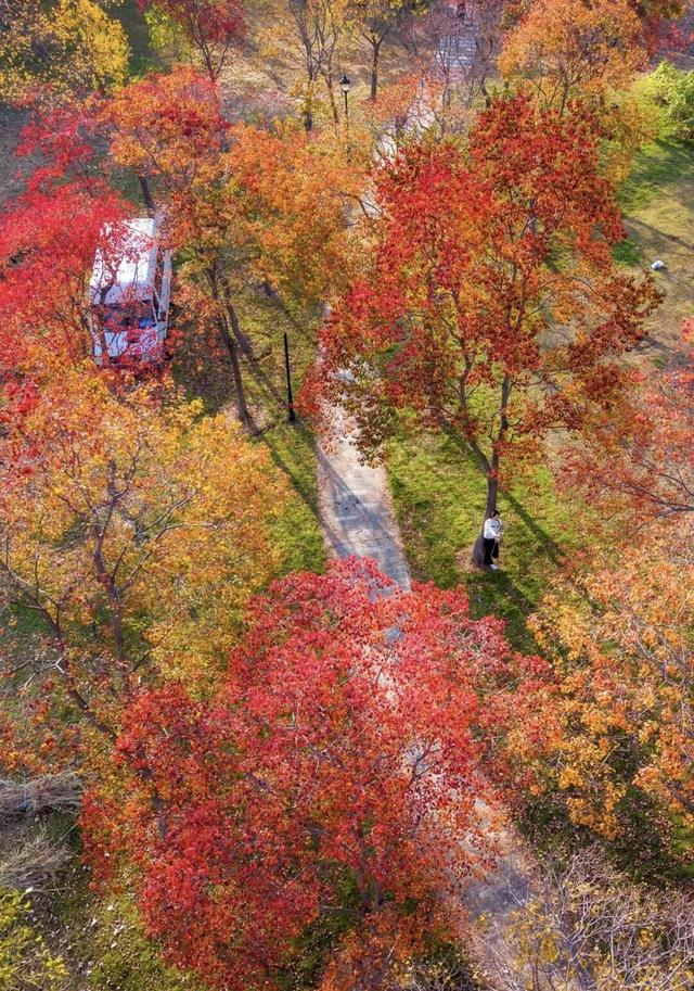 热干面遇见蒸烧卖，开启一场跨越2000公里的季节约会