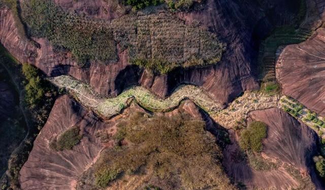 大自然的表情包！永兴风光里的“动物世界”