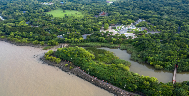 邂逅“醉”美河口，探秘宝山滨江湿地