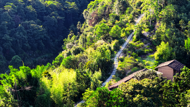 闽之福地 清韵山水 | 梅溪镇钟石村：闽清“后花园”绽放乡村振兴新画卷