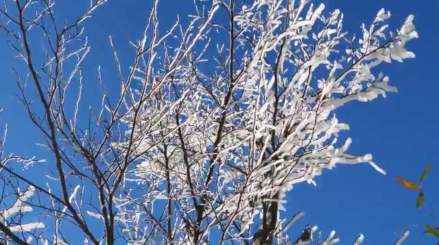 浙江超绝雪景大PK 浙江人也有自己的“冰雪大世界”