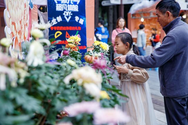 千株万朵菊花开，深秋又有春意来