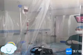 海南一名“熊猫血”淋巴瘤女孩完成自体外周血造血干细胞移植重获新生图片