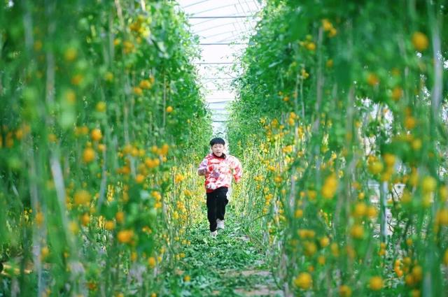 环两江国庆亲子游第三站：在佛山，用一场Country Walk探索城市“后花园”！