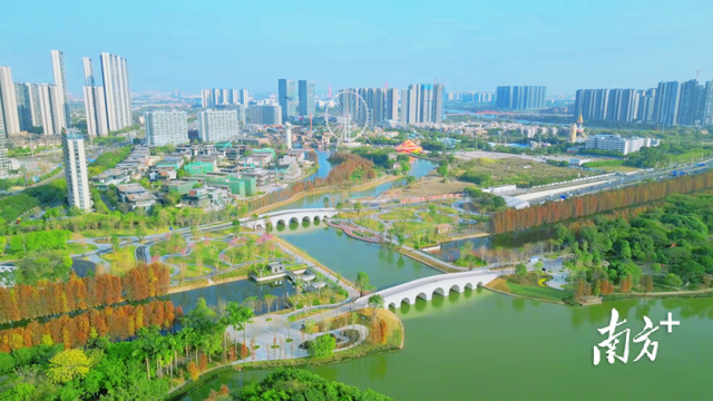 以水“润”城！顺德带来最动人的“水幸福”
