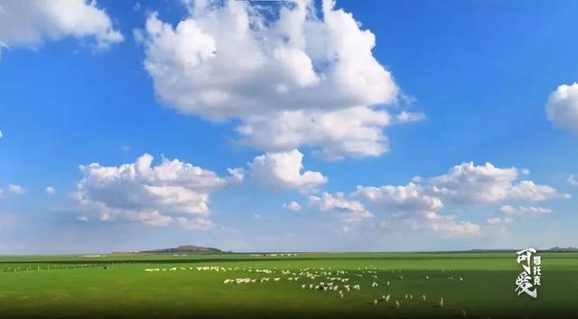 今年最抽象的网红饮料，从英国火回内蒙老家