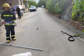 两条眼镜王蛇盘踞云南一村庄路边，村民胆战心惊！消防出动捕获带至山林放生图片