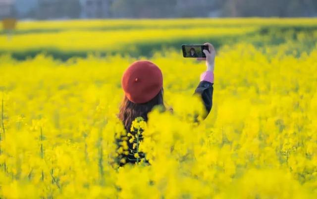 春天追花，冬日摘柚，这个小城是懂浪漫的！