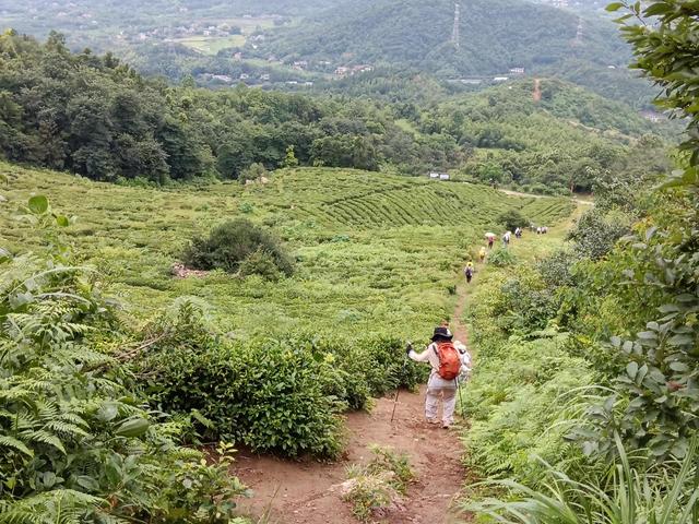 长株潭城际漫游丨夏日徒步法华山：遇见神仙级的“天池”与草原