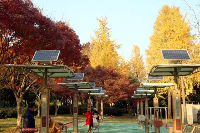 江苏苏州：桐泾公园斑斓冬景引客来