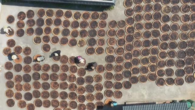 《远方的远方》搭乘“中国之翼”飞向世界