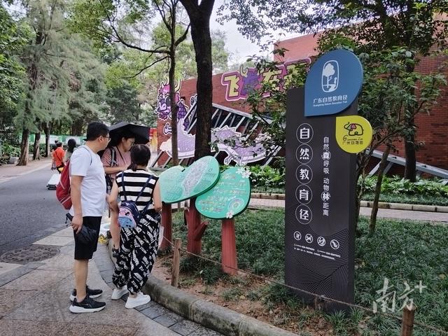 “自然+人文”双重体验拉满！广东新增34条特色自然教育径