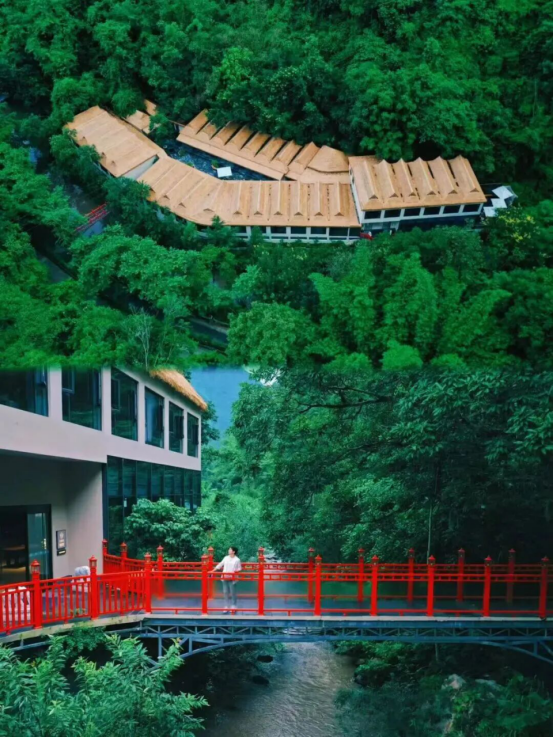 六国媒体齐聚西双版纳：勐远仙境的雨林奇遇，让欧洲记者集体“沦陷”！