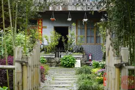 锚定现代化 改革再深化丨盘活50多间闲置农房，“空心村”变成网红村图片