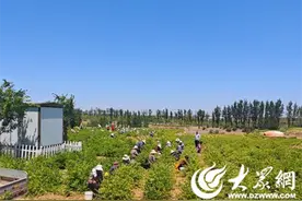 选择邹城图片