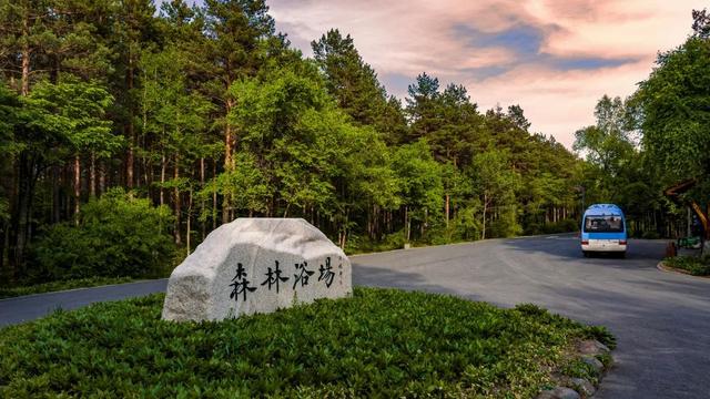 暑 期 游 园 攻 略