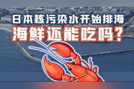 日本核污染水开始排海！240天后抵达我国沿海，海鲜还能吃吗？