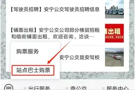 36元/座！昆明⇋楚雄站点巴士增开！图片