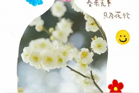 创意摄影|把日照的春天装进瓶子，太惊艳！图片