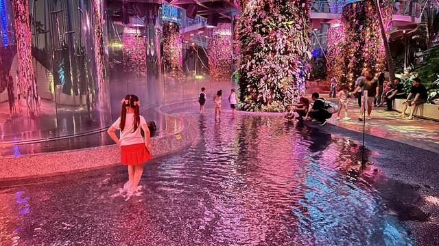 下雨也挡不住看露天电影的热情！上海世博文化公园昨晚点亮“璀璨之夜”