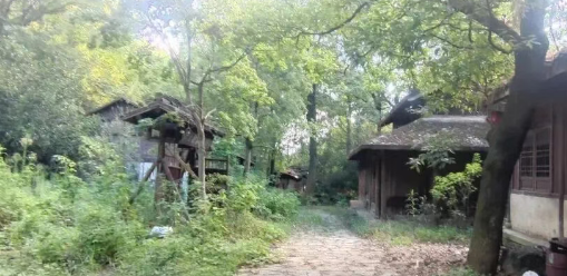 《射雕英雄传》《笑傲江湖》拍摄地荒废了？景区回应