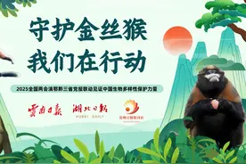 【全国两会联动报道】川金丝猴日记图片