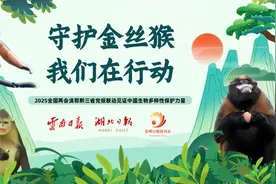 【全国两会联动报道】湖北神农架：20年破译金丝猴“语言密码”图片