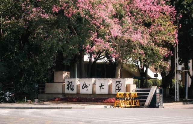 闽侯异木棉全盛登场！是谁的大学这么浪漫呀？