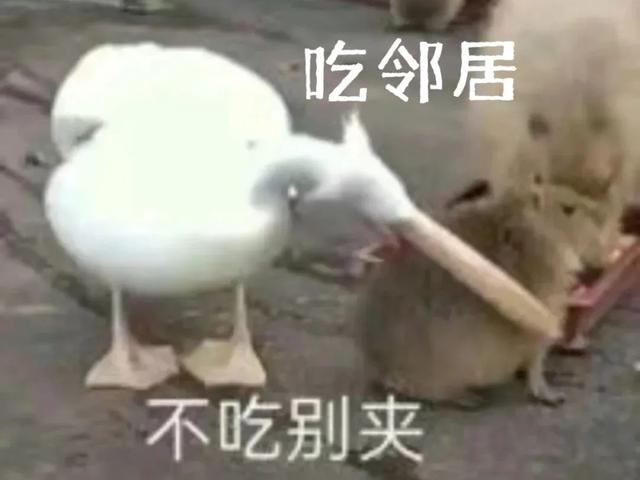 最新！北京春天动物图鉴！