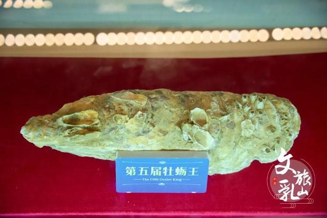 高铁串起的蔚蓝梦境 | 乳山，不只有海，还有N种美好等你解锁