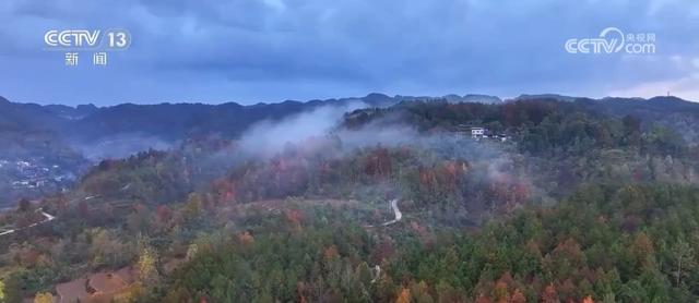 雾凇、冰川、彩林，山水画卷醉游人！各地冬日“限定版”美景纷纷“上线”