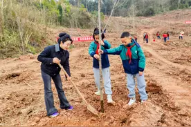 不负春光添新绿 四川天府新区永兴街道开展这场植树活动图片