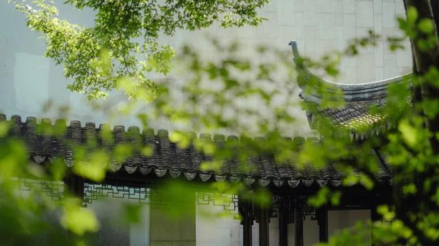 快来嘉定的“避暑山庄”，浸透一园清凉！