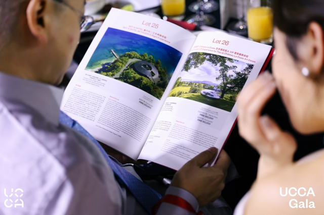 京东旅行助力公益义拍，定制游“法国艺术酒庄之旅”亮相UCCA Gala 2025