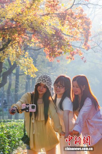 民众走进南京明孝陵石象路 感受“光影中的诗意清晨”