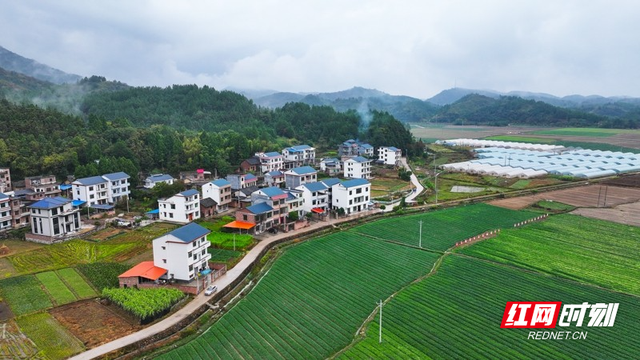 湖南新田：云雾缭绕乡村美如仙境（组图）