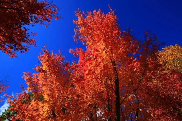 藏不住了！来渔洞水库邂逅初冬限定美景