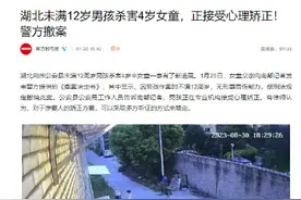 湖北未满12岁男孩杀害4岁女童，正接受心理矫正！警方撤案图片